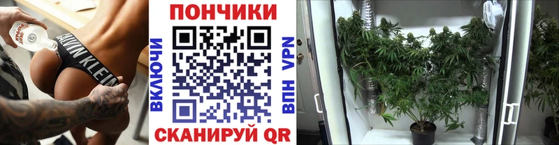 купить наркоту  Вязьма  блэк спрут ССЫЛКА  МАРИХУАНА ГИДРОПОН 